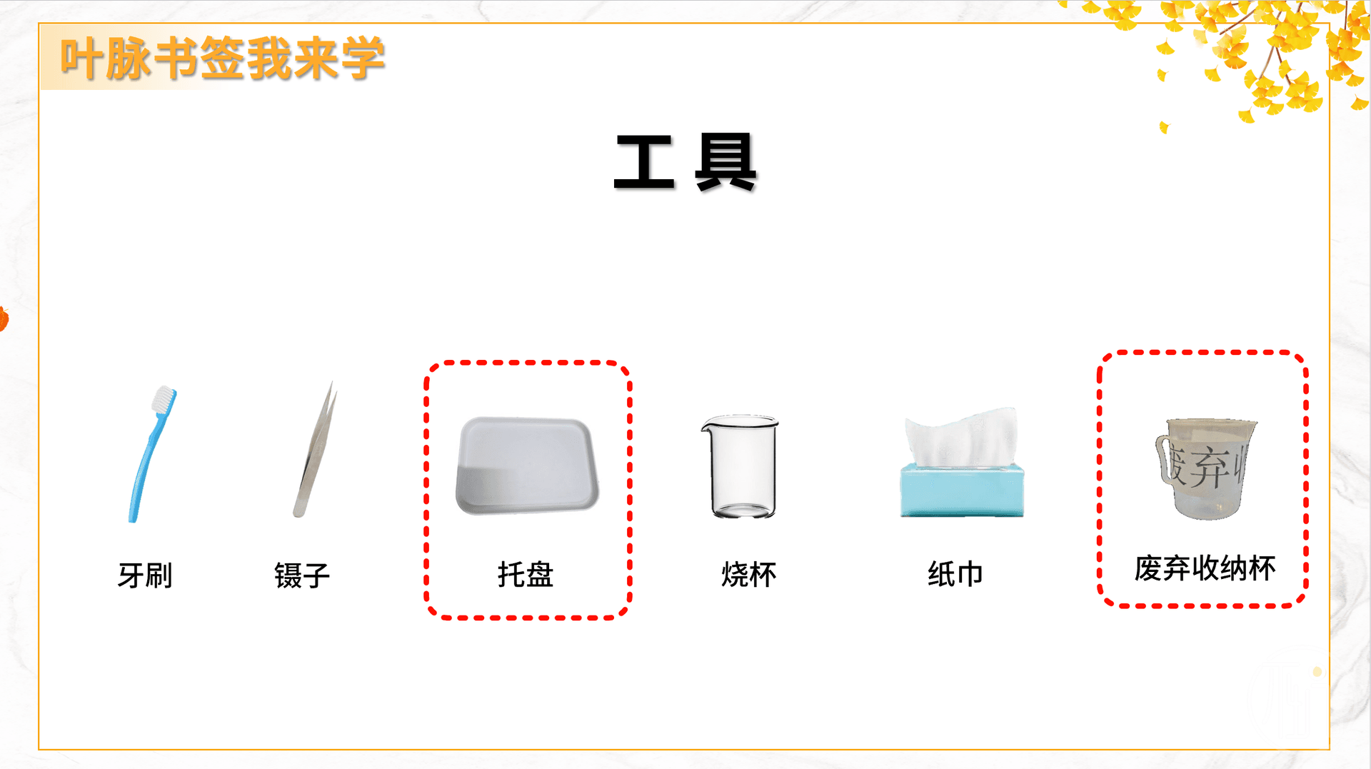 办公技能：制作公开课课件-梧桐树下