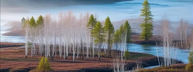 必修四：3.3唯物辩证法的实质与核心  练习二-梧桐树下