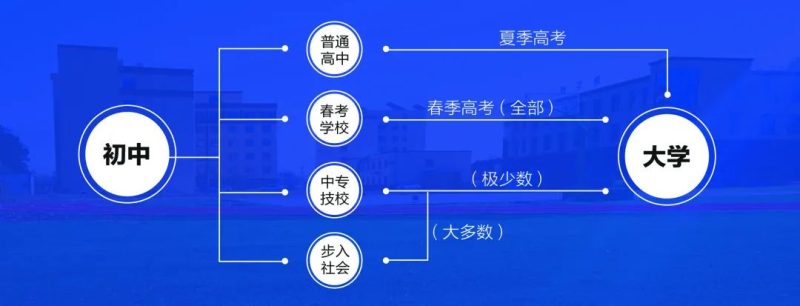 山东省春季高考解读-梧桐树下